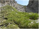 Lienzer Dolomitenhütte - Kleine Gamswiesenspitze